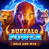 Buffalo Power
